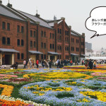 無念のニャンフェスからの赤レンガ倉庫のフラワーガーデン