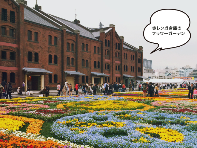 無念のニャンフェスからの赤レンガ倉庫フラワーガーデン